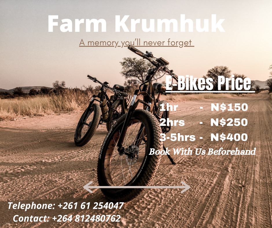 Krumhuk E-Bike Rental